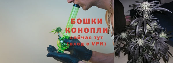 ГАЛЛЮЦИНОГЕННЫЕ ГРИБЫ Кулебаки