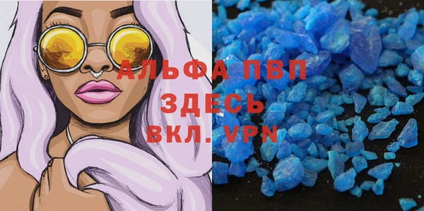 PSILOCYBIN Кукмор
